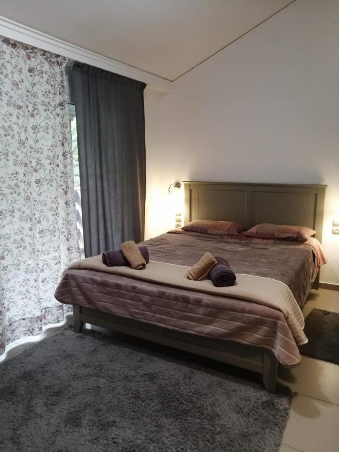 Appartement And Business *